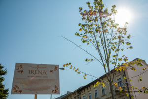 Irena
